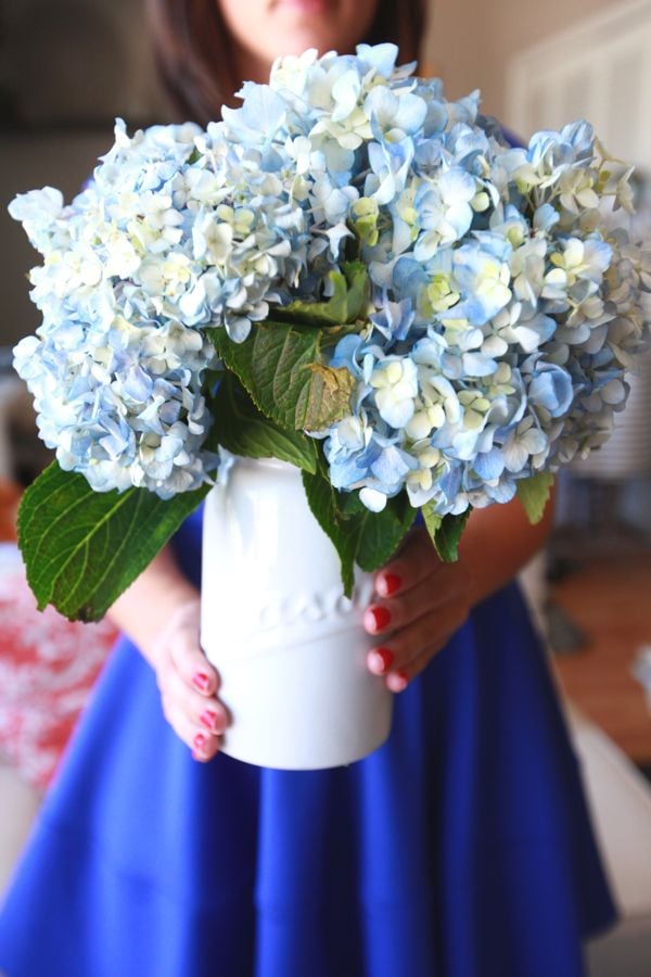 Hydrangeas Produce Flowers From Early Spring Through Fall