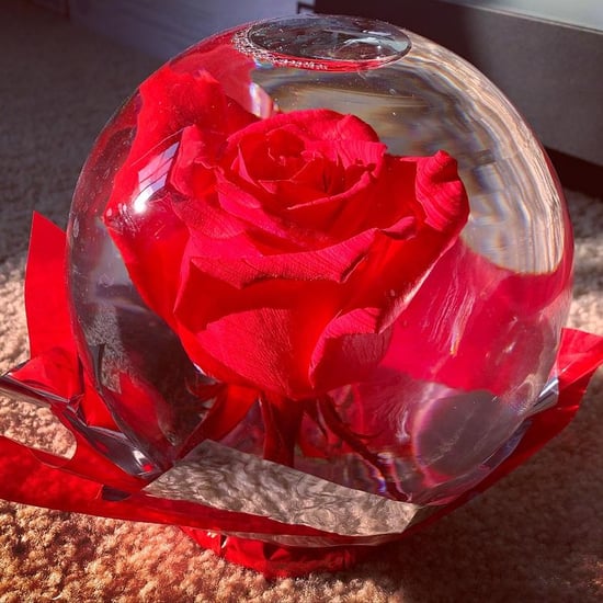 Where to Buy Rose Globes For Valentine's Day