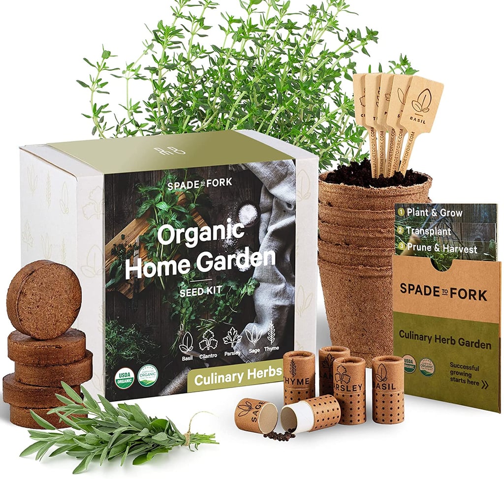 For Plant Parents: Indoor Herb Garden Starter Kit