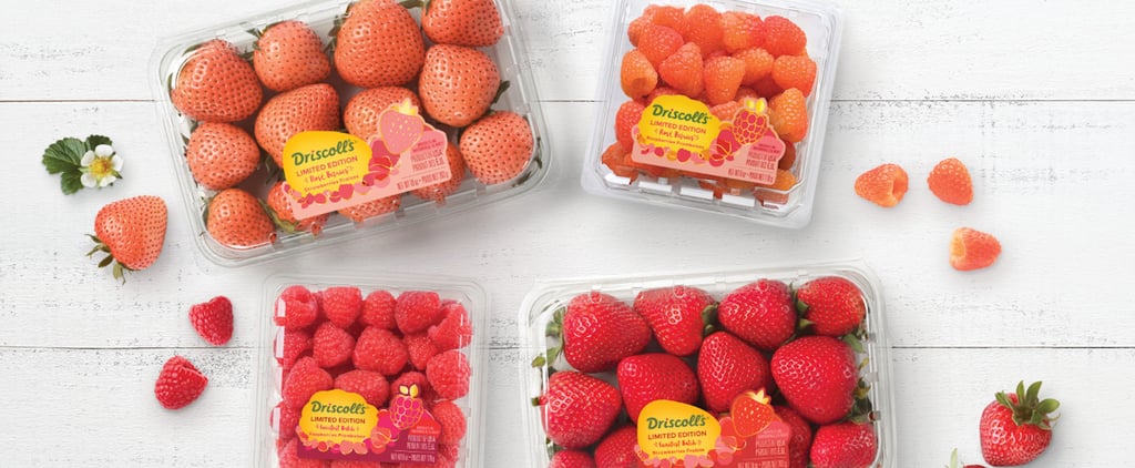 Driscoll Rosé Berries