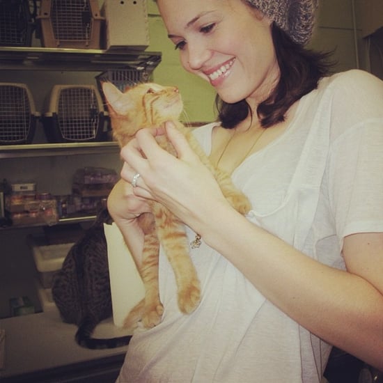 Mandy Moore's Cats
