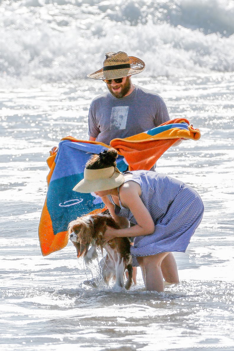 Seth Rogen and Lauren Miller in the Ocean With Their Dog | PS Celebrity