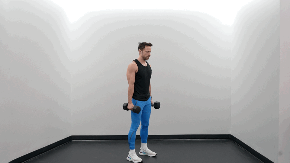 Block 2, Exercise 2: Curl, Squat, Press