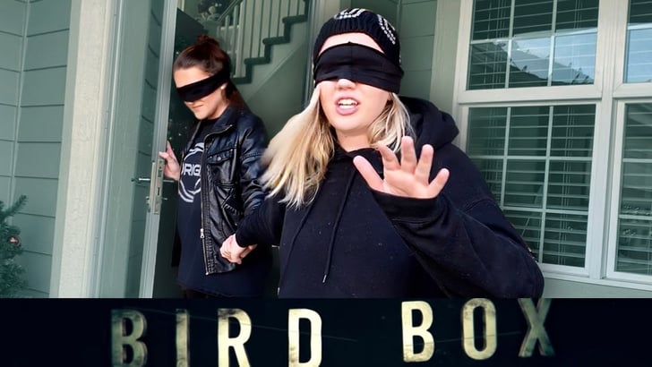 bird box challenge