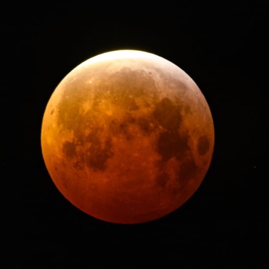 What Is a Wolf Moon? An Astrologer Explains Its Meaning