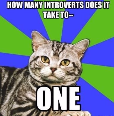 Introvert Problems