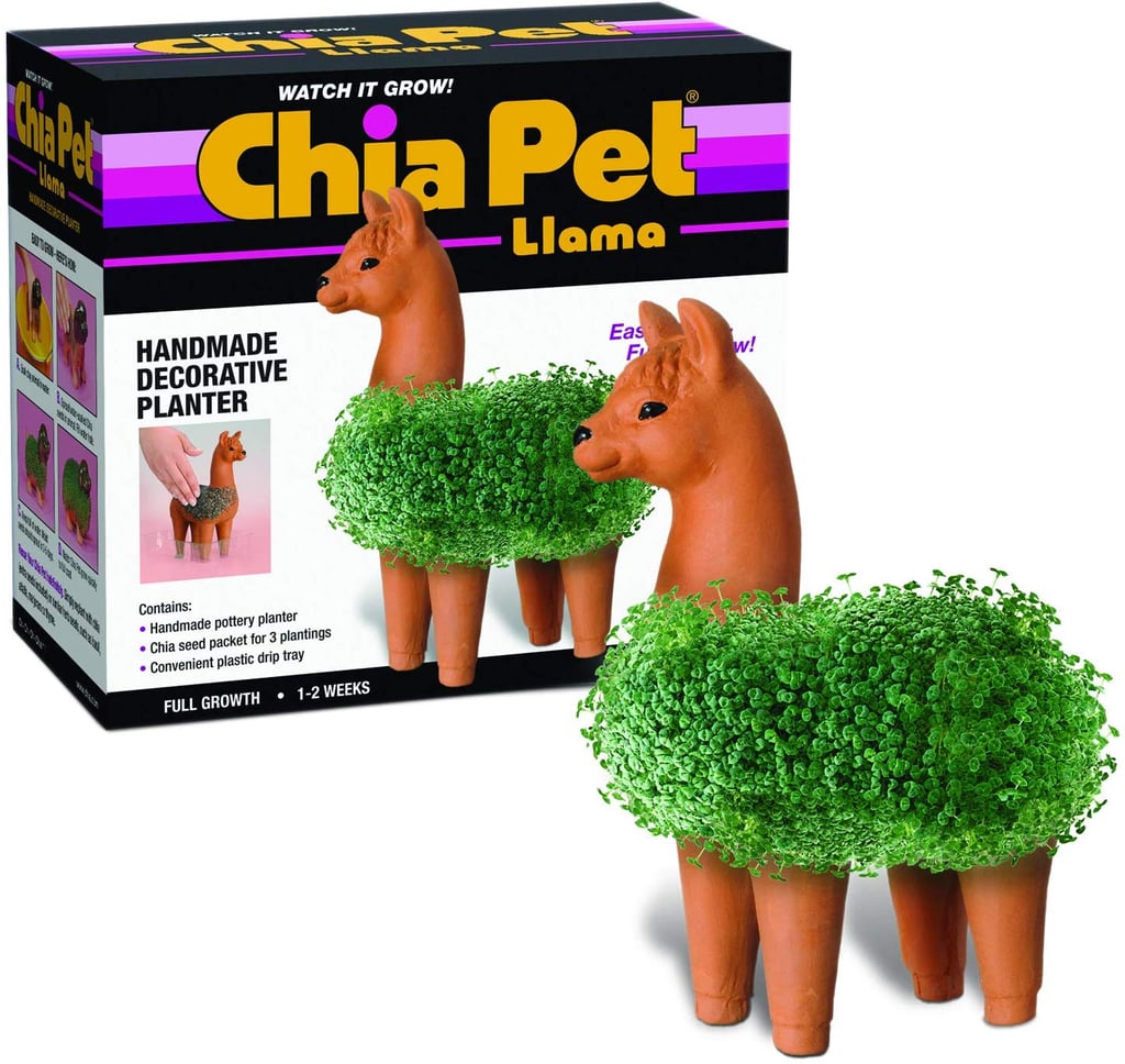 A Funny Gift: Chia Pet Llama Decorative Pottery Planter