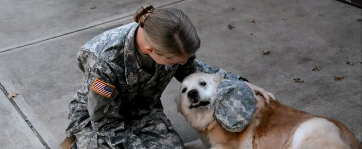 Dog Crying When Her Soldier Returns Home | Video