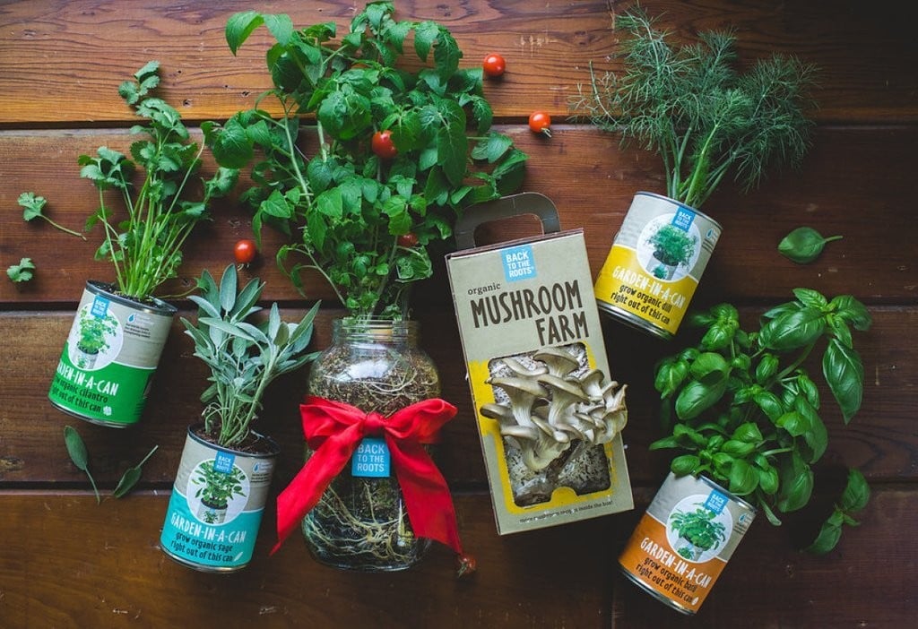 Eco-Friendly Gifts for Mom