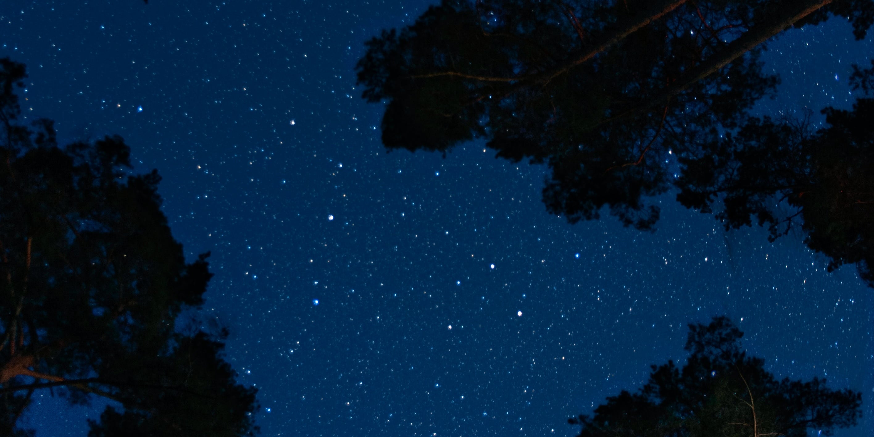 New Moon in Virgo September 2023 Meaning For Zodiac Signs POPSUGAR Smart Living