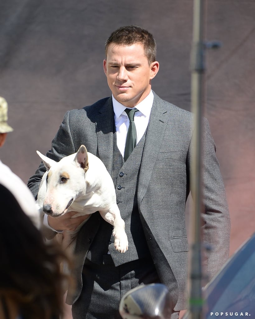 Channing Tatum held on to one adorable pup while doing a photo shoot in LA on Saturday.