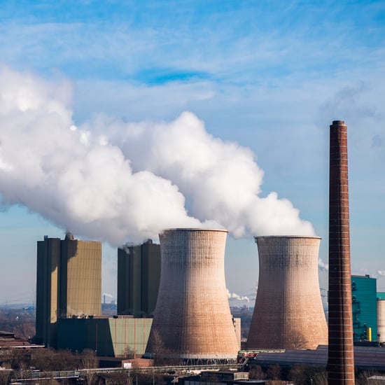 2016 Hottest Year on Record