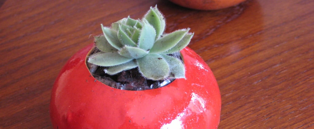 How to Use Up Leftover Fall Fruits and Vegetables