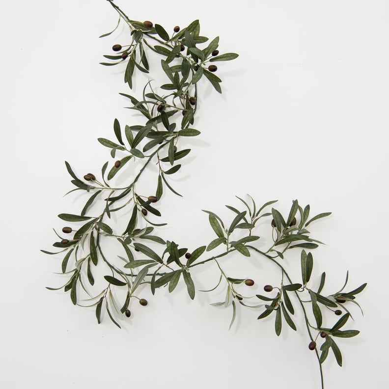 Olive Garland