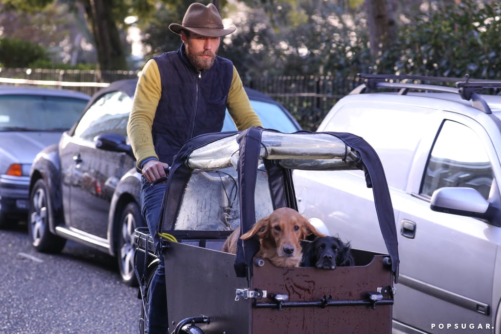 James Middleton Riding Bike With His Dogs Feb. 2019