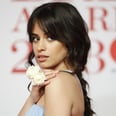 What You May Have Forgotten About Camila Cabello's Fifth Harmony Exit