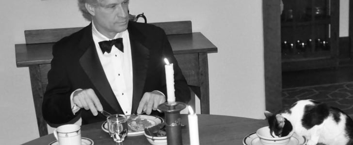 Man Makes Fancy Dinner For Cats