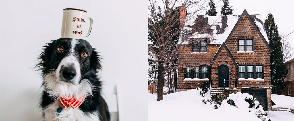This Instagram Account Is the New Where's Waldo