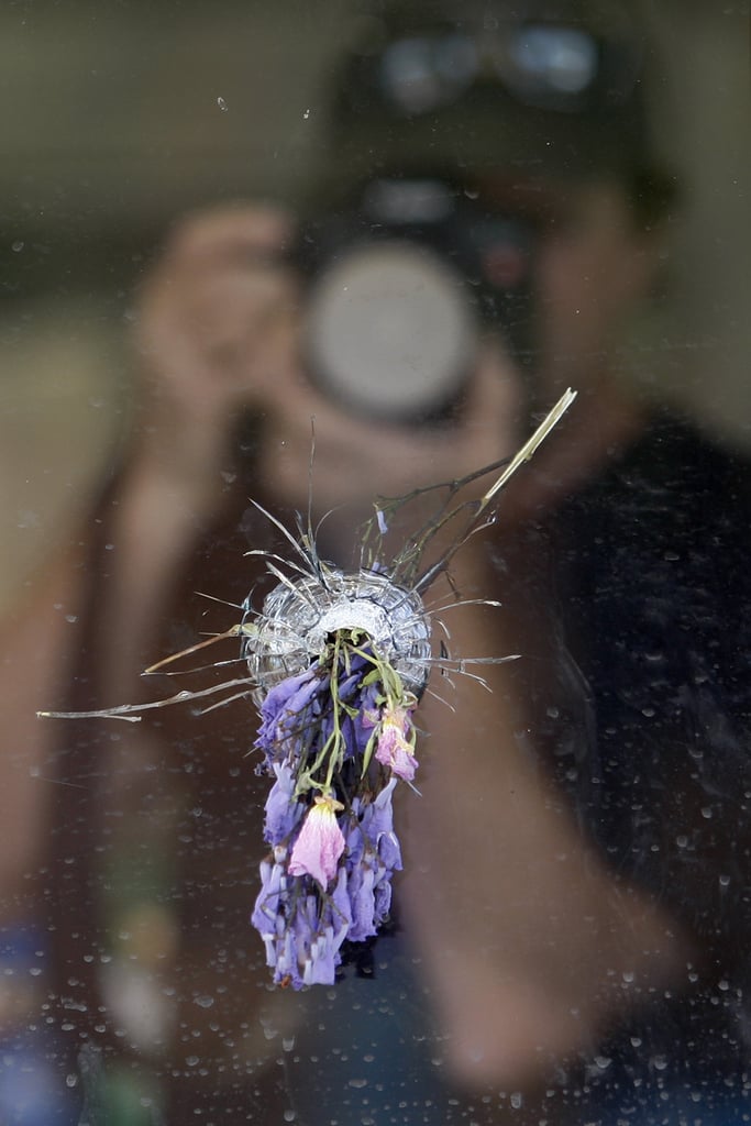 Following the Santa Barbara, CA, shootings, a photographer snapped a picture of flowers set inside a bullet hole in the window of IV Deli.