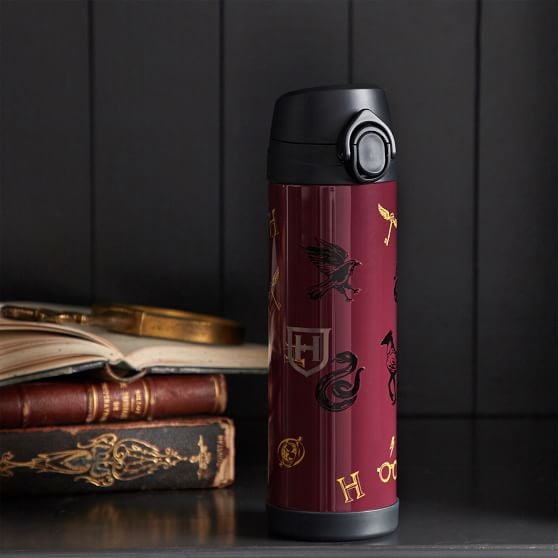 Harry Potter Mascot 17 oz. Water Bottle