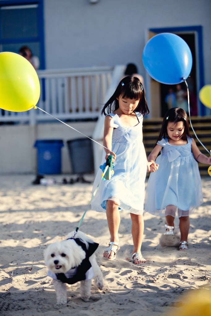 Beach Party Wedding