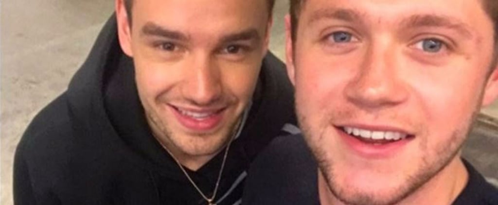 Liam Payne and Niall Horan Reunion at ZPL Birthday Bash 2017