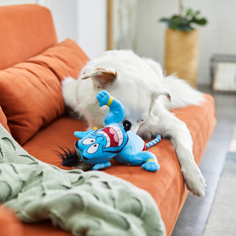 Genie Plush With Rope Squeaky Dog Toy