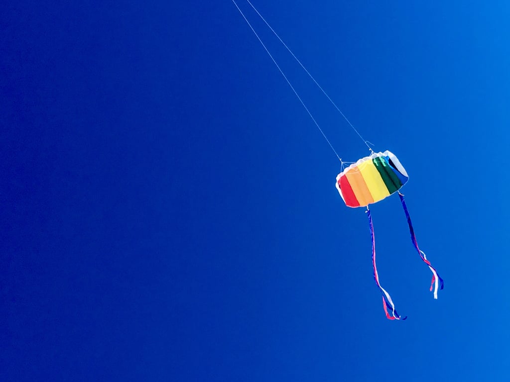 Fly a kite.
