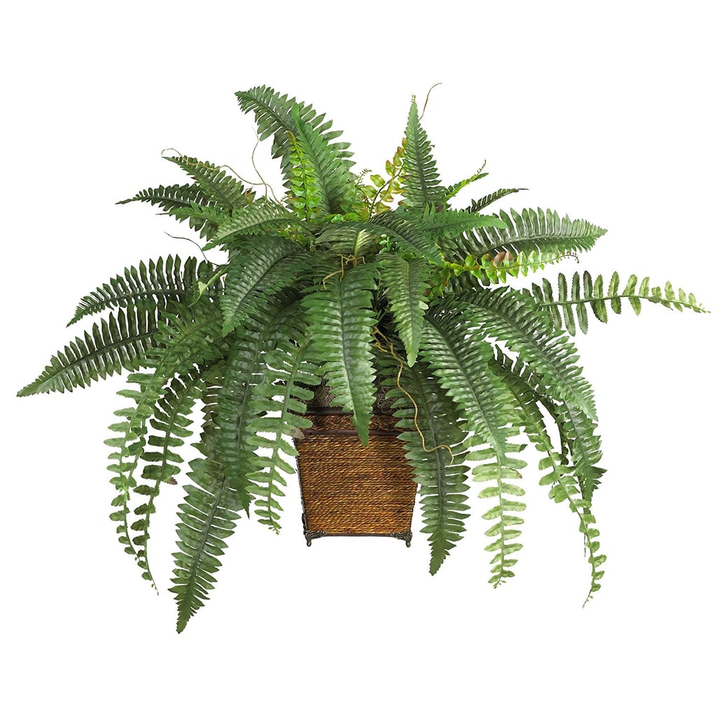 Nearly Natural Boston Fern