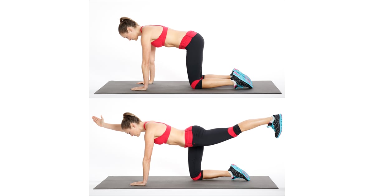 Circuit One Bird Dog Ab and Core Workout POPSUGAR Fitness Photo 3