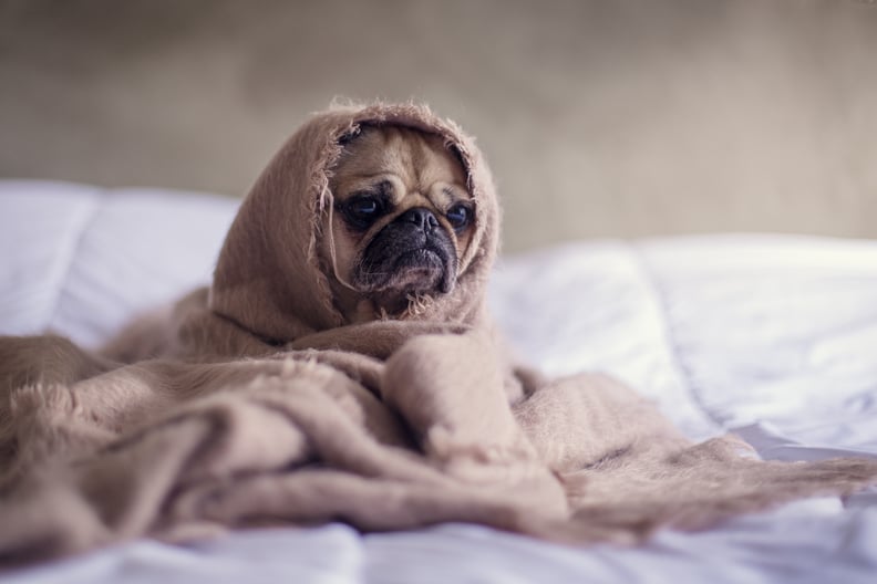 Staying in bed all day.