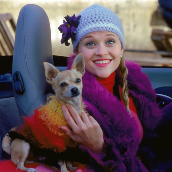 Bruiser Woods Dog From Legally Blonde Dies