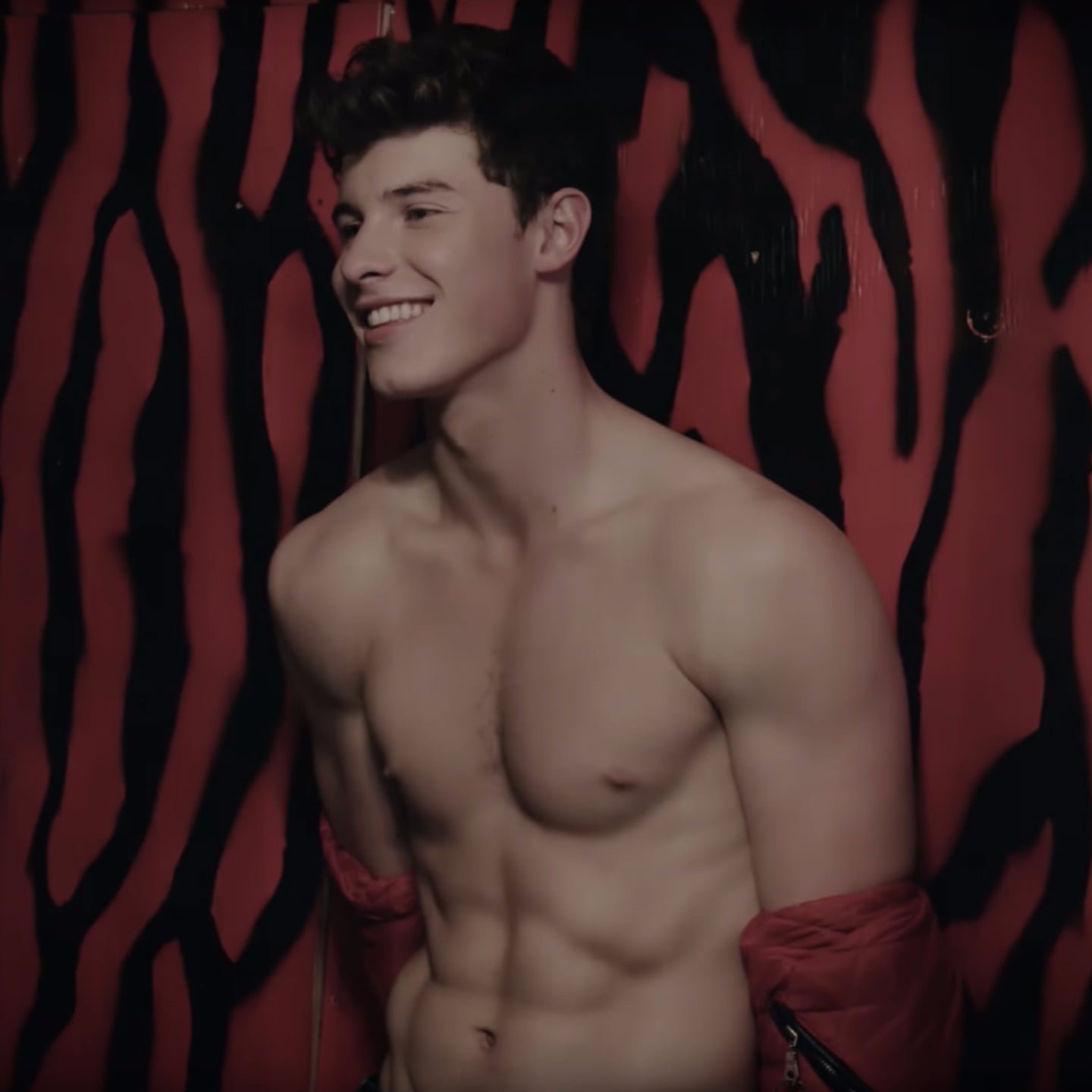 Shawn Mendes Shirtless 2016 Iweky