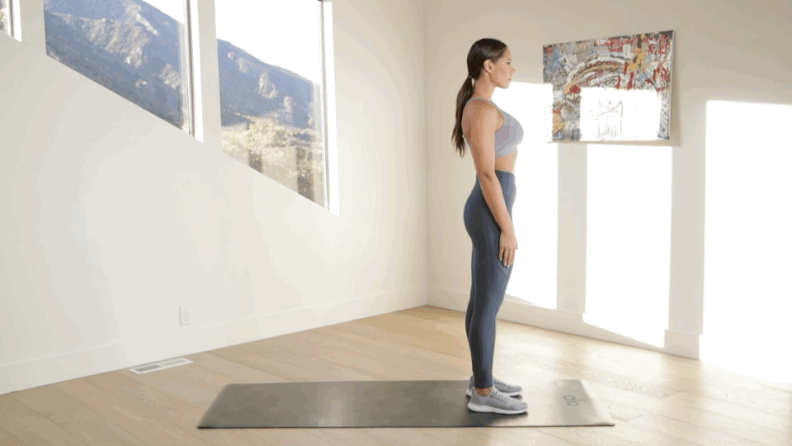 Reverse Lunge and Knee-Up