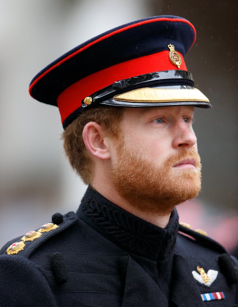 Prince Harry Prince Philip Pictures November 2015