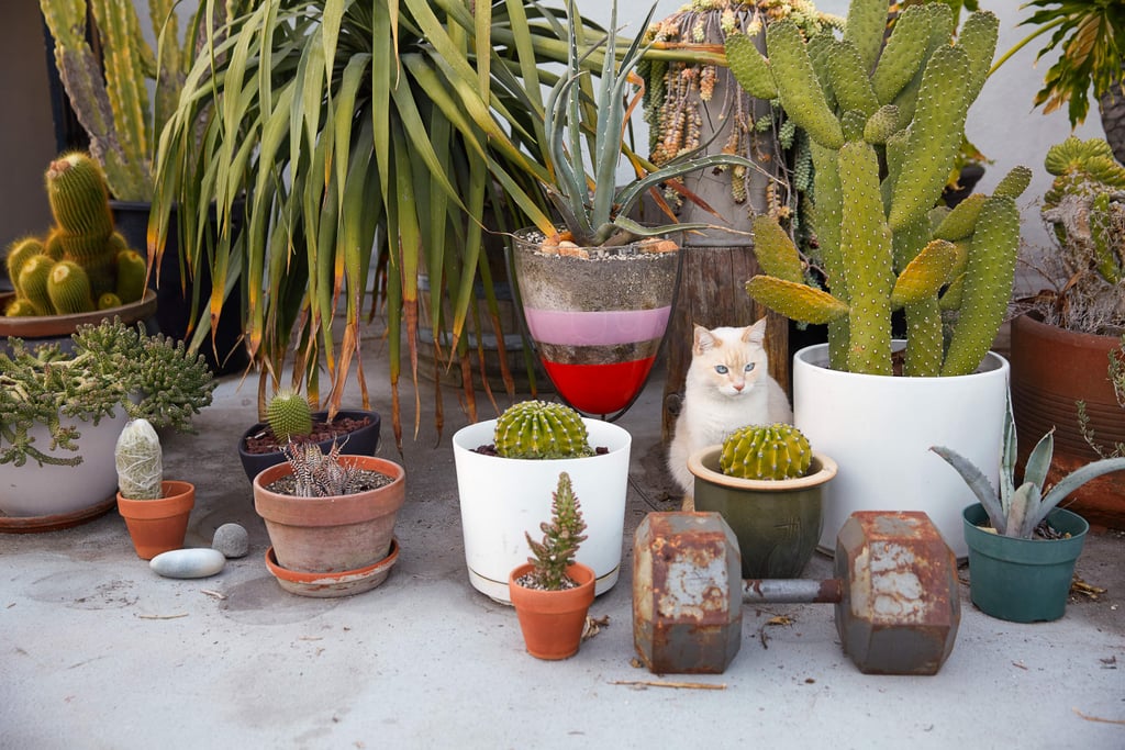 Tulum-Inspired Decor Tulum-Inspired Decor