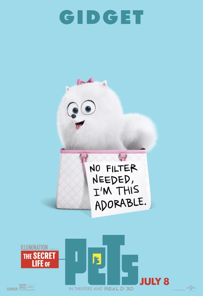 The Secret Life of Pets Character Posters