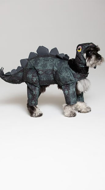 Stegosaurus Dog Costume