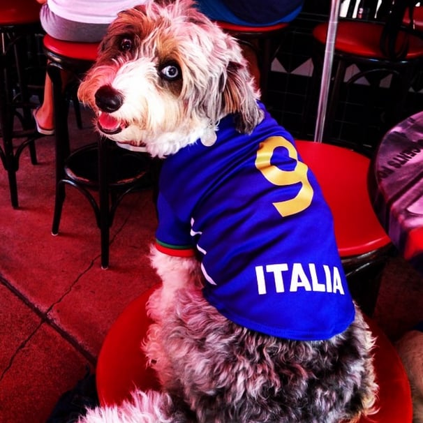 There's nothing like watching the Italy game at the bar with your buds.
Source: Instagram user
dare2detox
