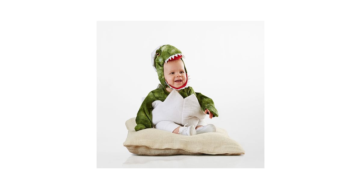 dinosaur egg baby costume