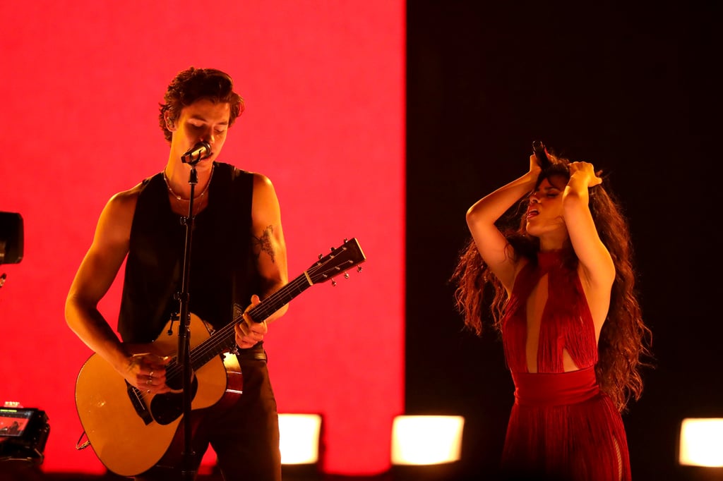 Camila Cabello and Shawn Mendes 2019 AMAs Performance Video