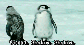 This penguin doing a Shakira shimmy.