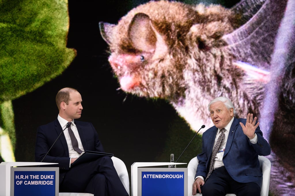 Prince William Talks With David Attenborough January 2019