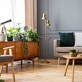 Furnish a New Home on a Budget With These Money-Saving Tips