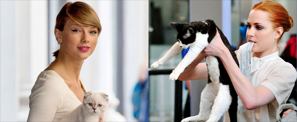 Celebrity Cat Ladies | Pictures