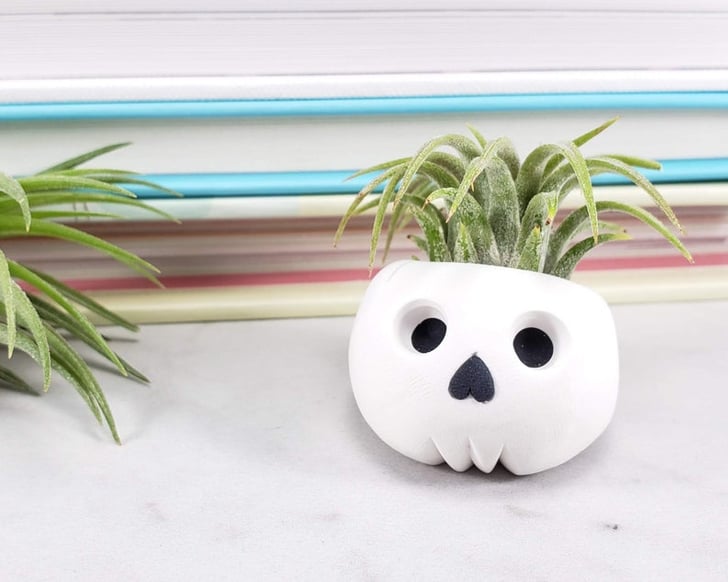 Skull Air Plant Holder These Planters From Etsy Are the Perfect