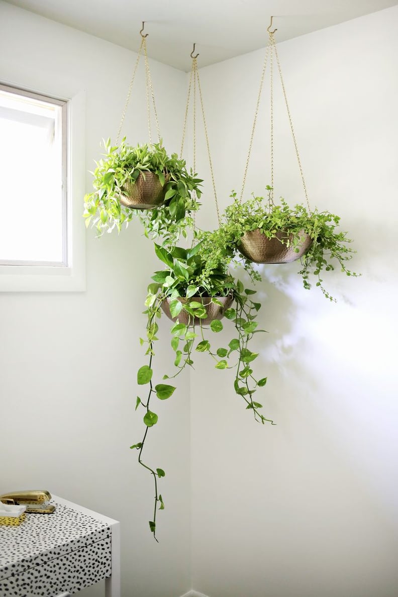 Hammered Gold Bowl Hanging Planter