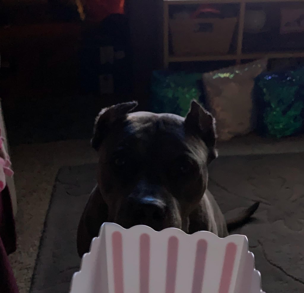 Even the Family's Dog Joined in — For Free, of Course!