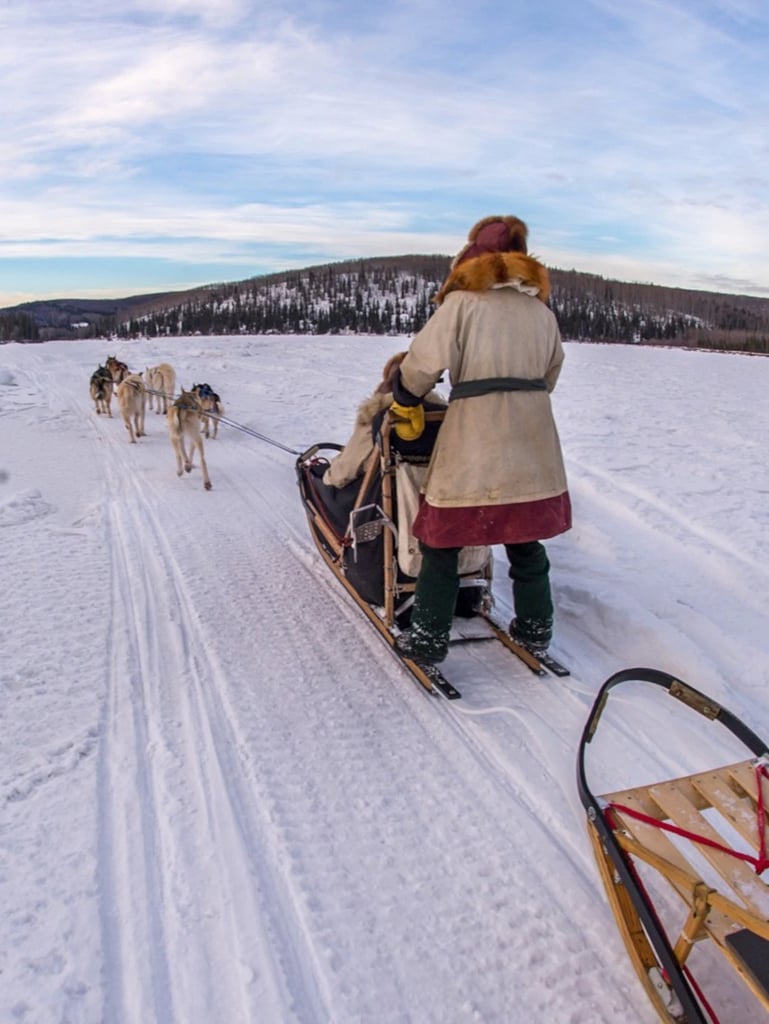 Alaskan Wilderness Dogsledding (Anchorage, AK)