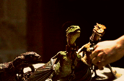 Rhaegal